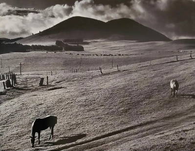Brett Weston (American, 1911-1993) Print: Brett Weston (American, 1911-1993) Print. Kahua Ranch, "1985". Printed in 1992. 9.00 x 7.00 inches. Please be aware that all lots in our auctions are sold "AS IS," in accordance with the Terms & Condi