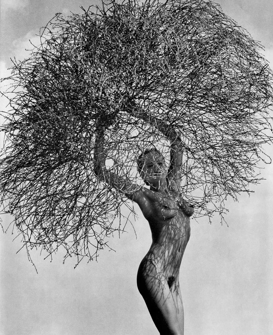 Herb Ritts (American, 1952-2002) Print: Herb Ritts (American, 1952-2002) Neith with Tumbleweed Print. Printed in 1988, Japan. 11.00 x 13.00 inches. Edition of 6100. Please be aware that all lots in our auctions are sold "AS IS," in accordan