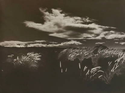 Brett Weston (American, 1911-1993) Print: Brett Weston (American, 1911-1993) Print. Parker Ranch, "1987". Printed in 1992. 9.00 x 7.00 inches. Please be aware that all lots in our auctions are sold "AS IS," in accordance with the Terms & Cond