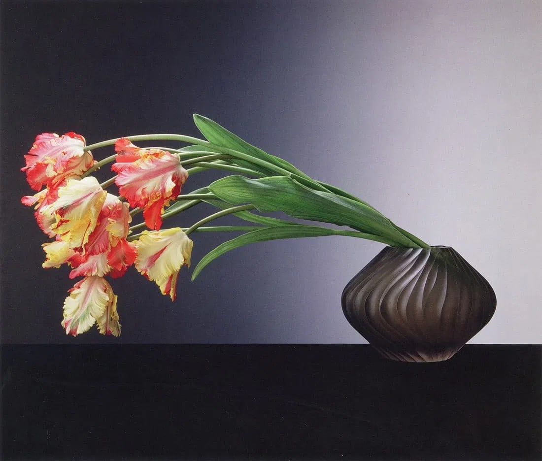 Robert Mapplethorpe (American, 1946-1989) Print: Robert Mapplethorpe (American, 1946-1989). Parrot Tulips, "1988" Print. 10.10 x 8.60 inches. Printed in 2016, China. Please be aware that all lots in our auctions are sold "AS IS," in accordance with