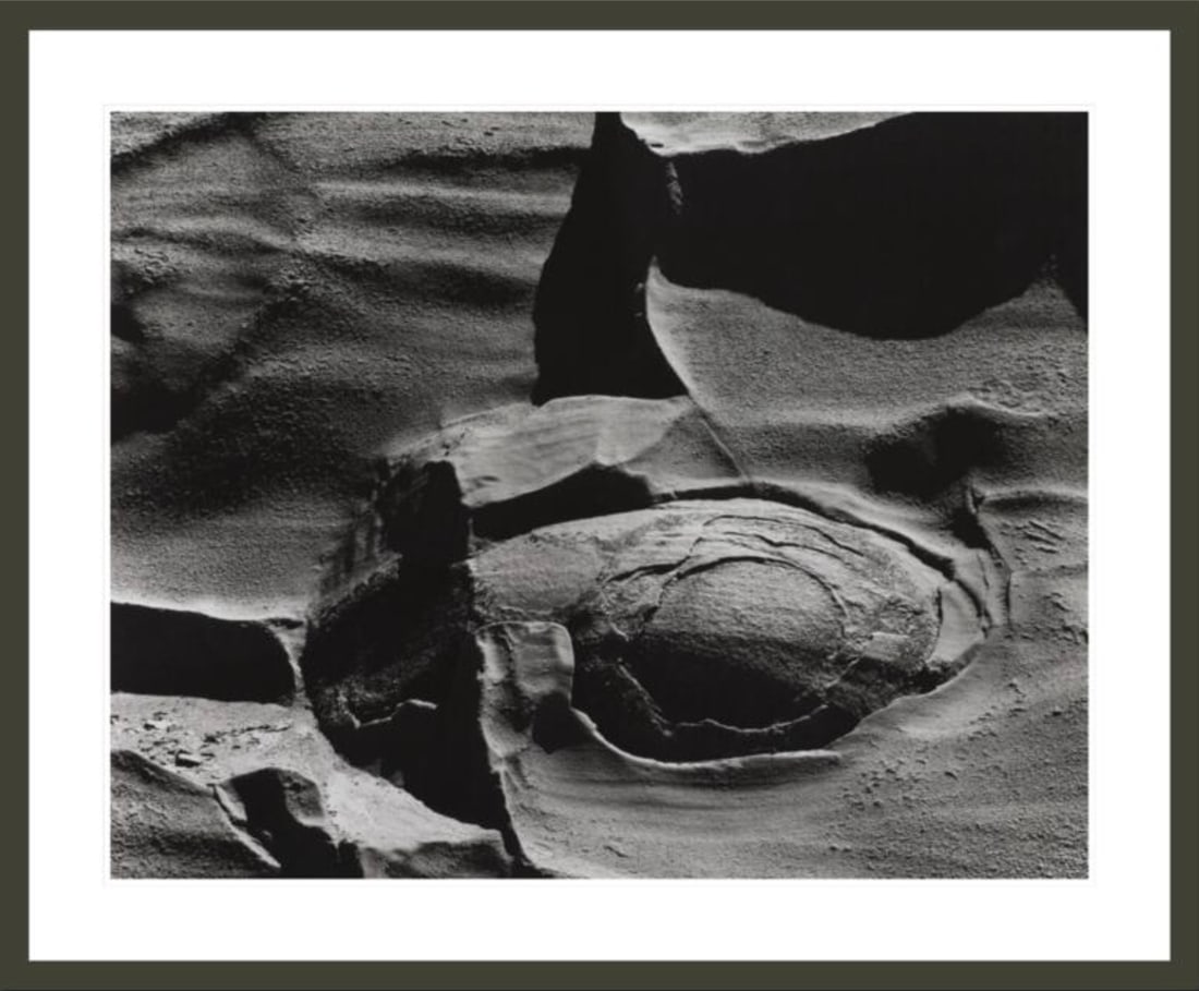 Minor White (American, 1908-1976) Print: Minor White (American, 1908-1976) Print. Shore Acres State Park, Oregon, "1959". 33.00 x 25.50 (sight), 40.00 x 33.25 (framed) inches. Please be aware that all lots in our auctions are sold "AS IS," i