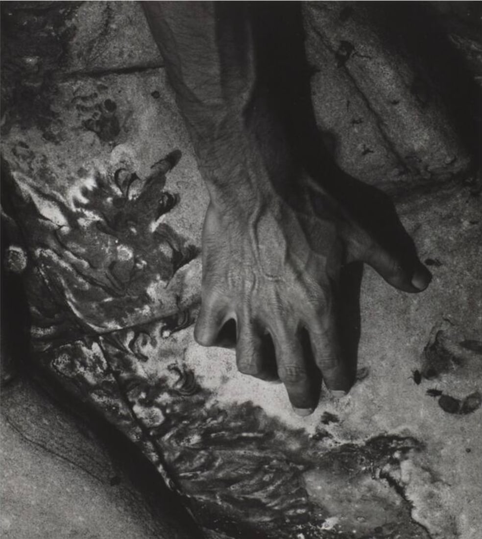 Minor White (American, 1908-1976) Print: Minor White (American, 1908-1976) Print. William LaRue, Point Lobos State Park, California, "1960". 19.75 x 22.25 inches. Please be aware that all lots in our auctions are sold "AS IS," in accordance