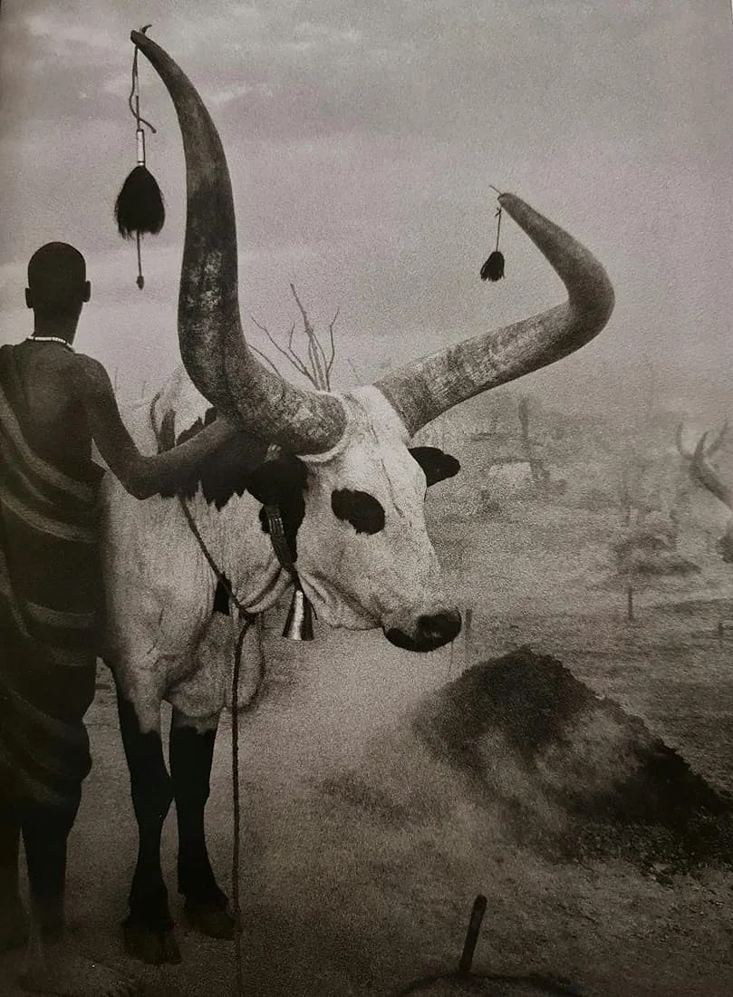 Sebastiao Salgado (Brazilian, 1944-2025) Print: Sebastiao Salgado (Brazilian, 1944-2025) Print. Cattle Camp of Kei, Southern Sudan, "2006". Printed in 2013, Spain. Duotone. 8.50 x 12.00 inches. Please be aware that all lots in our auctions are sold
