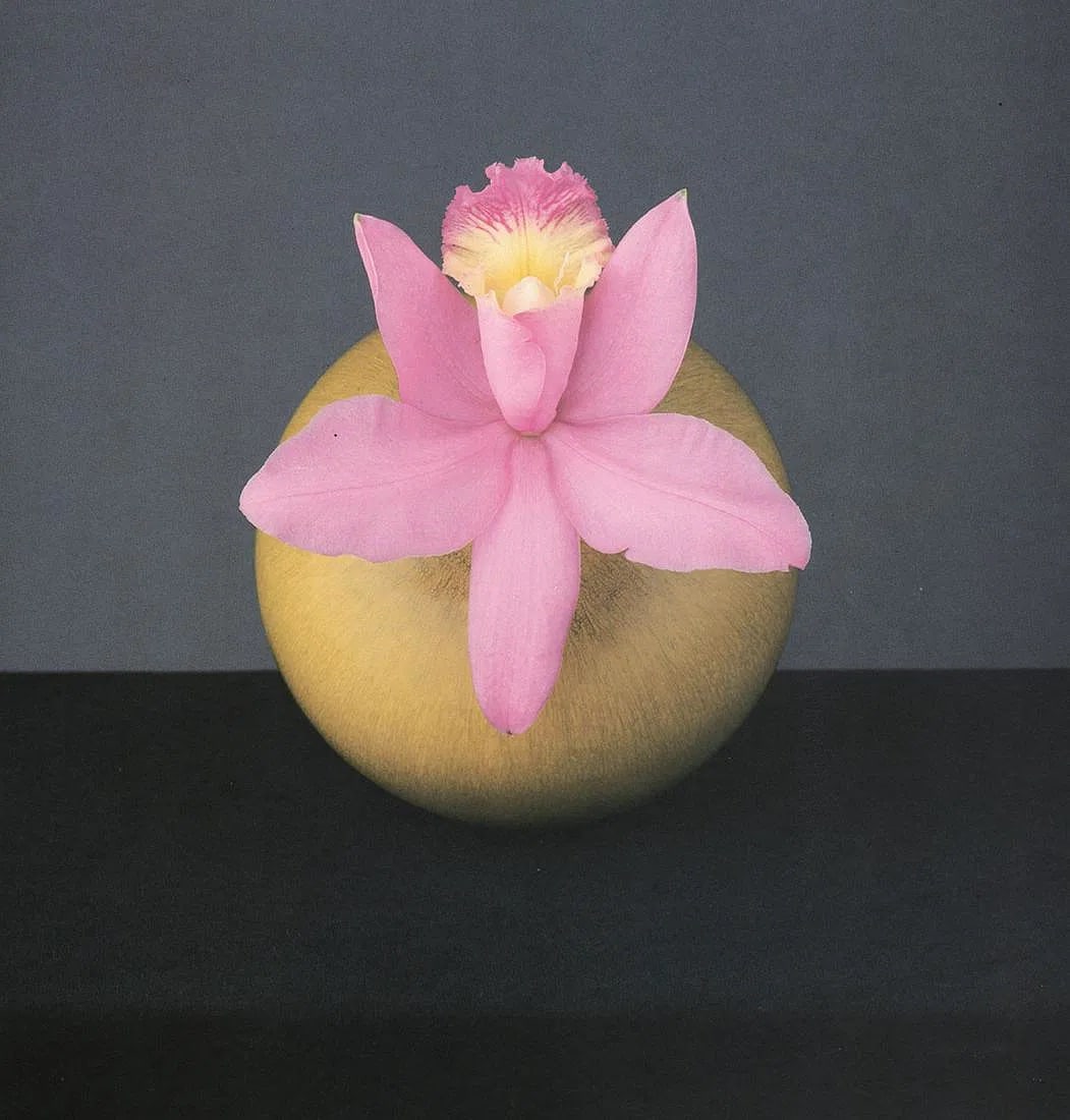 Robert Mapplethorpe (American, 1946-1989) Print: Robert Mapplethorpe (American, 1946-1989). Orchid, "1988" Print. 8.00 x 8.00 inches. Printed in 1990's. Please be aware that all lots in our auctions are sold "AS IS," in accordance with the Terms & C