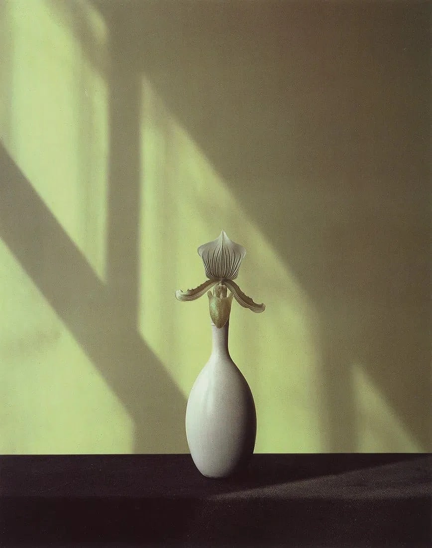 Robert Mapplethorpe (American, 1946-1989) Print: Robert Mapplethorpe (American, 1946-1989). Orchid, "1982" Print. 6.85 x 8.65 inches. Printed in 1992, Italy. Please be aware that all lots in our auctions are sold "AS IS," in accordance with the Term