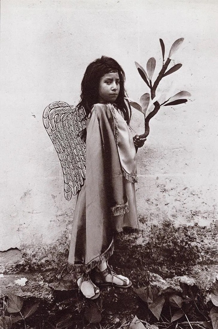 Graciela Iturbide (Mexican, b. 1942) Print (1 of 1)