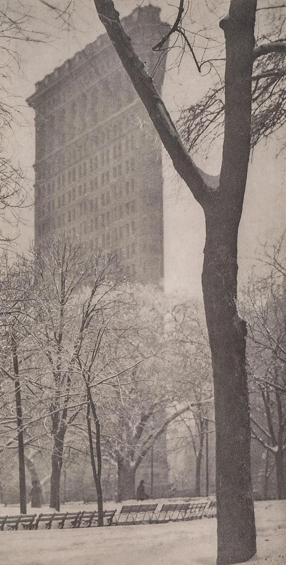 Alfred Stieglitz (American, 1864-1946) Print (1 of 1)