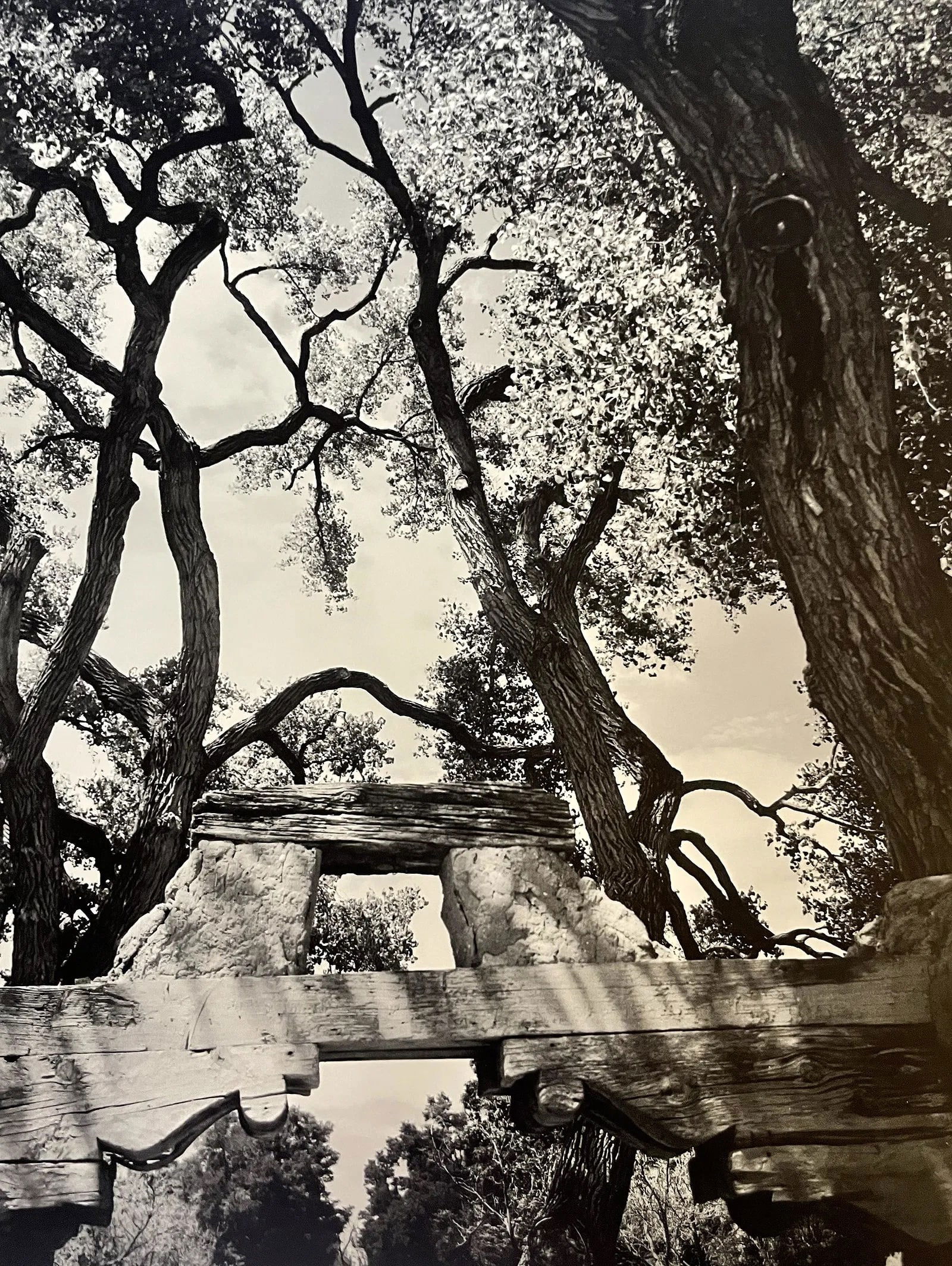 Ansel Adams (American, 1902-1984) Print (1 of 1)