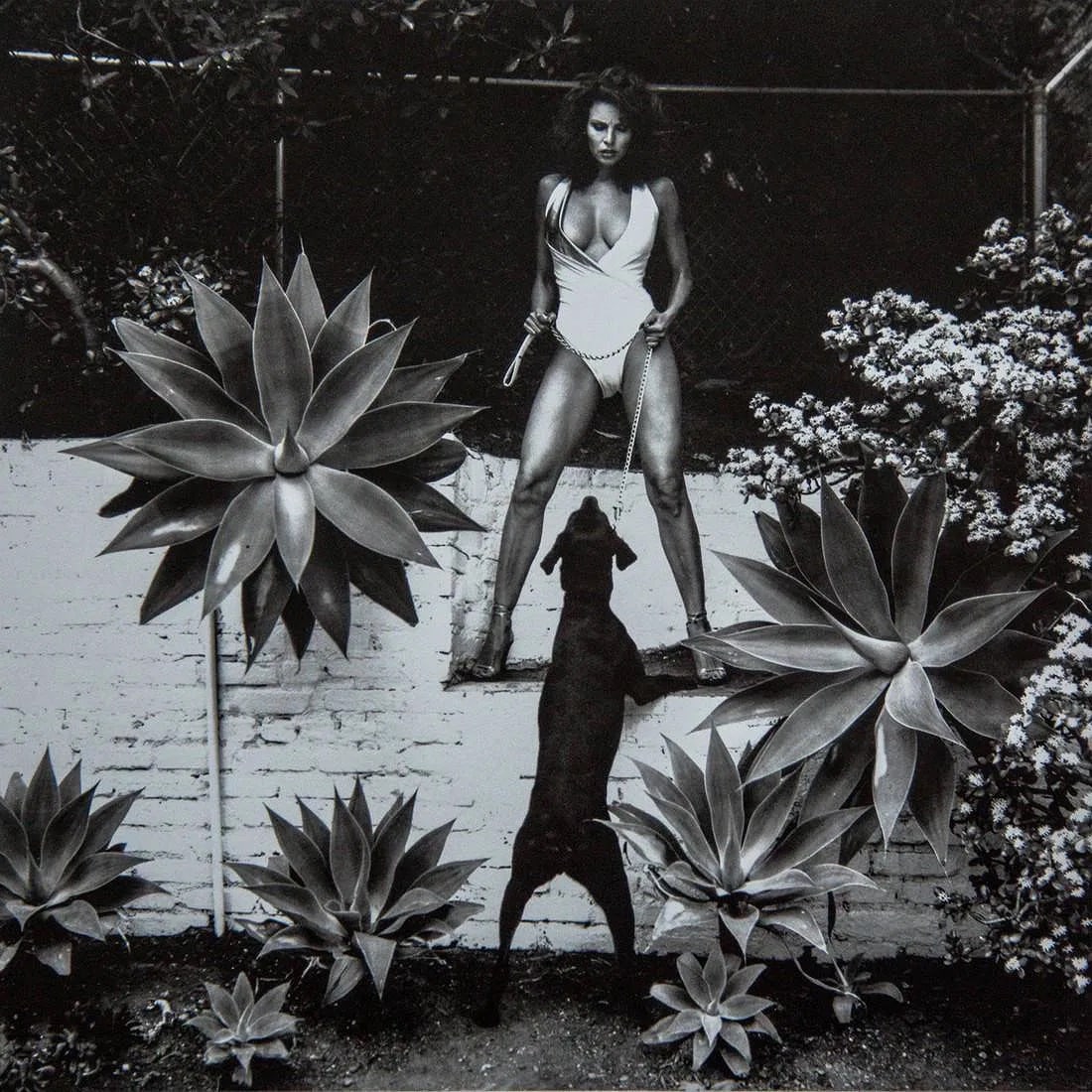 Helmut Newton (German-Australian, 1920-2004) Print (1 of 1)