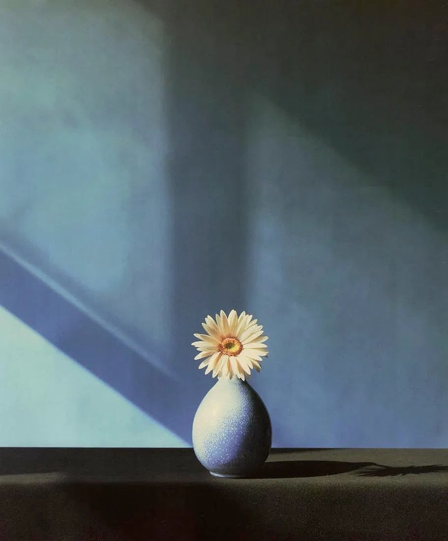 Robert Mapplethorpe (American, 1946-1989) Print (1 of 1)
