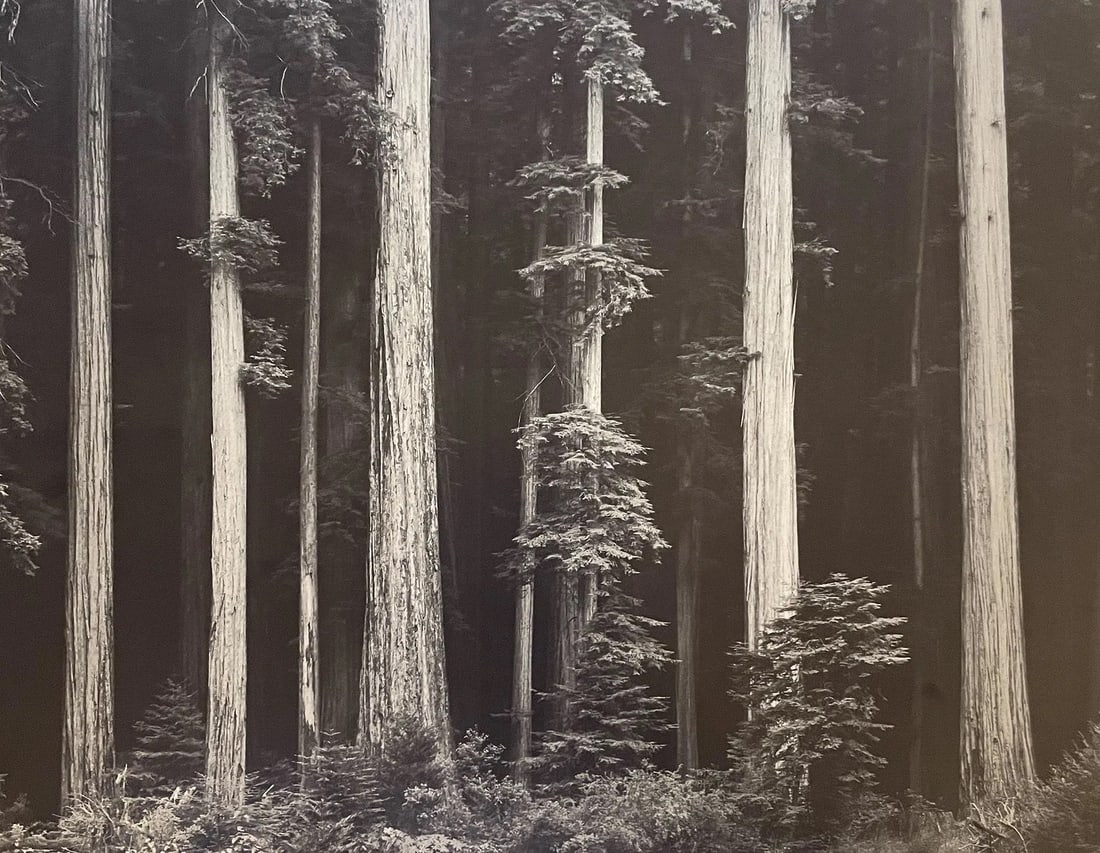 Ansel Adams (American, 1902-1984) Print (1 of 1)