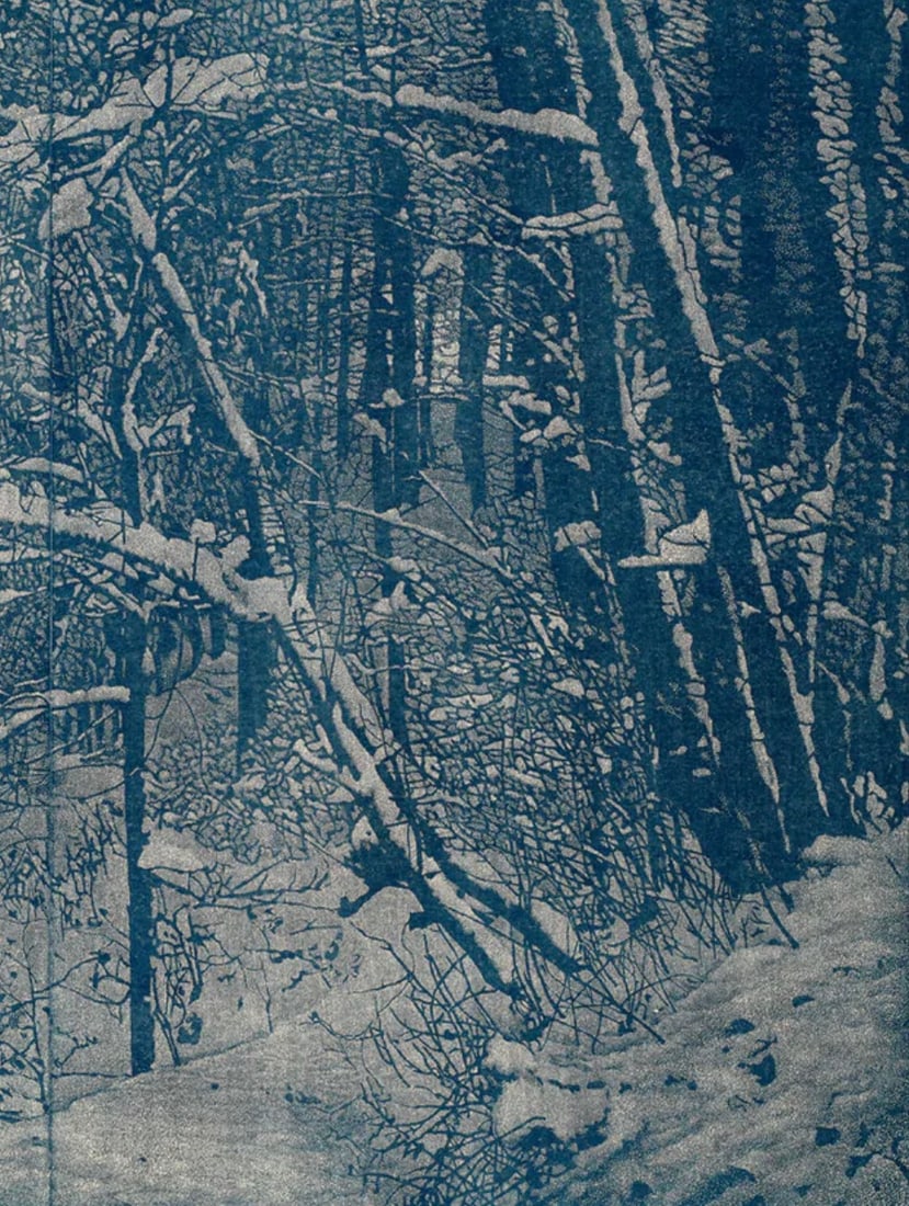 Franz Gertsch (Swiss, 1930-2022) Print: Franz Gertsch (Swiss, 1930-2022) Print. Winter, "2015". Please be aware that all lots in our auctions are sold "AS IS," in accordance with the Terms & Conditions of the Auction. All "dates" inside quo