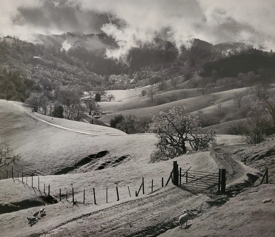 Ansel Adams (American, 1902-1984) Print (1 of 1)