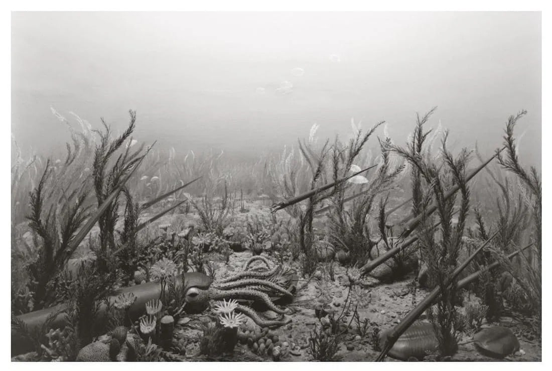 Hiroshi Sugimoto (Japanese, b. 1948) Print: Hiroshi Sugimoto (Japanese, b. 1948) Print. Ordorician Period, "1992". Printed in 2014, USA. 9.00 x 7.00 inches. Please be aware that all lots in our auctions are sold "AS IS," in accordance with the