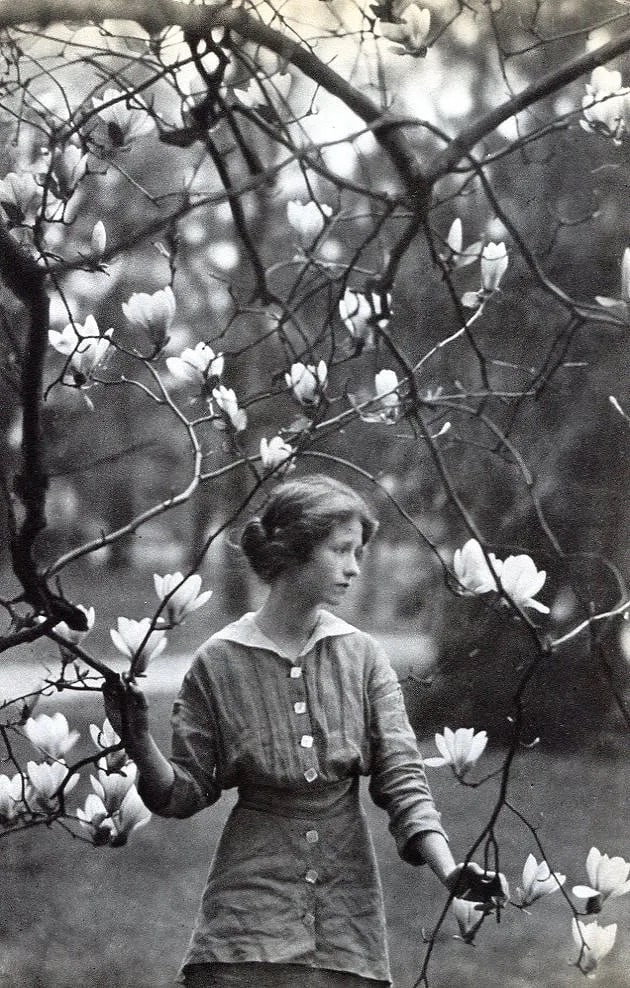 Arnold Genthe (German-American, 1869-1942) Print (1 of 1)