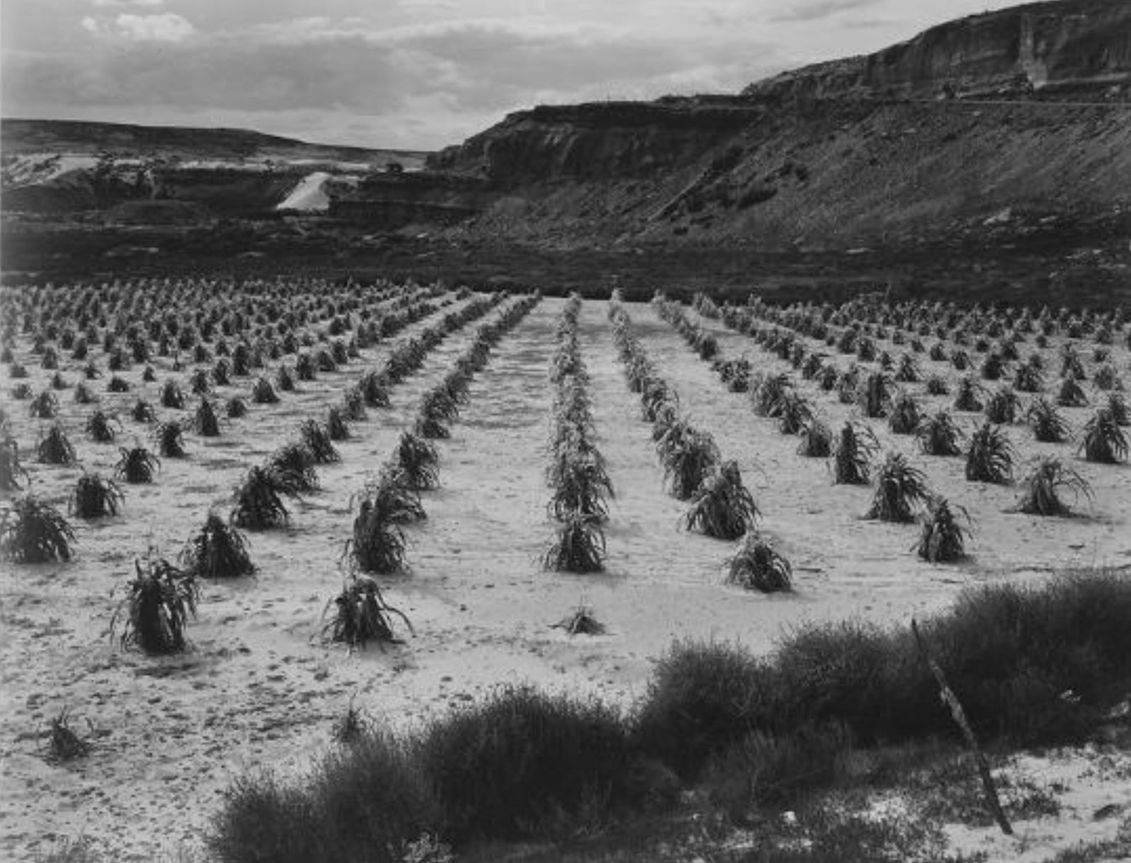 Ansel Adams (American, 1902-1984) Print: Ansel Adams (American, 1902-1984) Print. Tuba City, Arizona Print. 15.00 x 11.00 inches. Please be aware that all lots in our auctions are sold "AS IS," in accordance with the Terms & Conditions of th