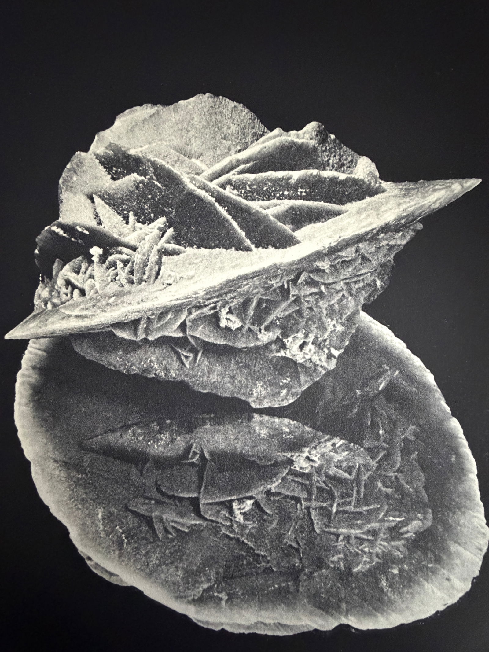 Rene-Jacques (French, 1908-2003) Print: Rene-Jacques (French, 1908-2003) Print. Paris. Rose des Sables. Printed in 1939, France. 9.25 x 6.75 inches. Please be aware that all lots in our auctions are sold "AS IS," in accordance with the