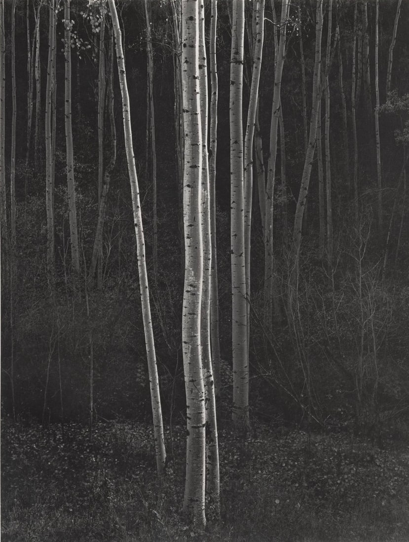 Ansel Adams (American, 1902-1984) Print (1 of 3)