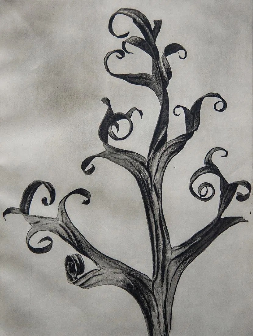 Karl Blossfeldt (German, 1865-1932) Print: Karl Blossfeldt (German, 1865-1932) Print. Delphinium. Printed in 1942, Germany. 8.00 x 10.50 inches. Please be aware that all lots in our auctions are sold "AS IS," in accordance with the Terms & Con