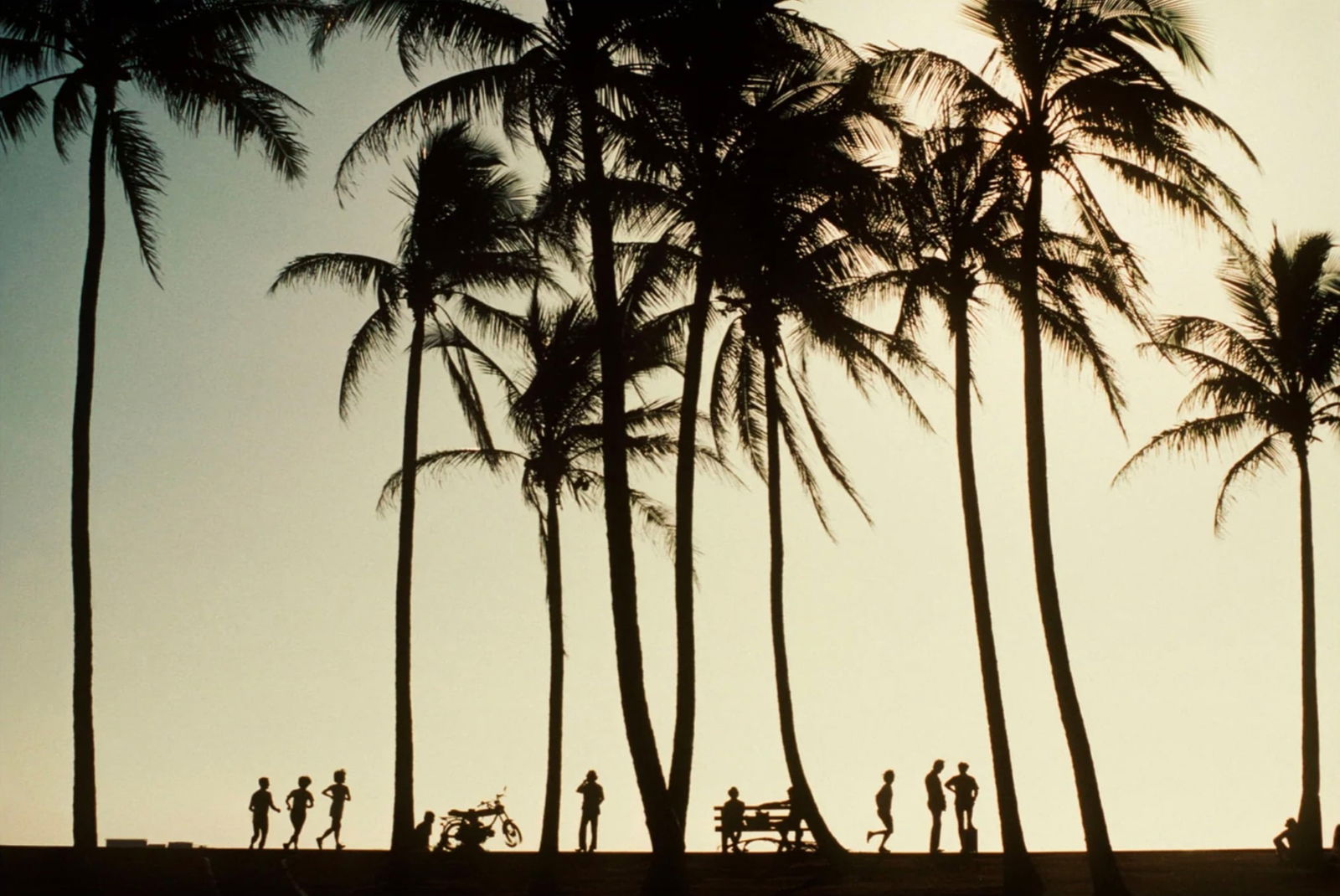 Dennis Stock (American, 1928-2010) Print: Dennis Stock (American, 1928-2010) Print. Queen's Surf Beach, Waikiki, Island of O'ahu, "1980". 20.00 x 14.00 inches. Please be aware that all lots in our auctions are sold "AS IS," in accordance