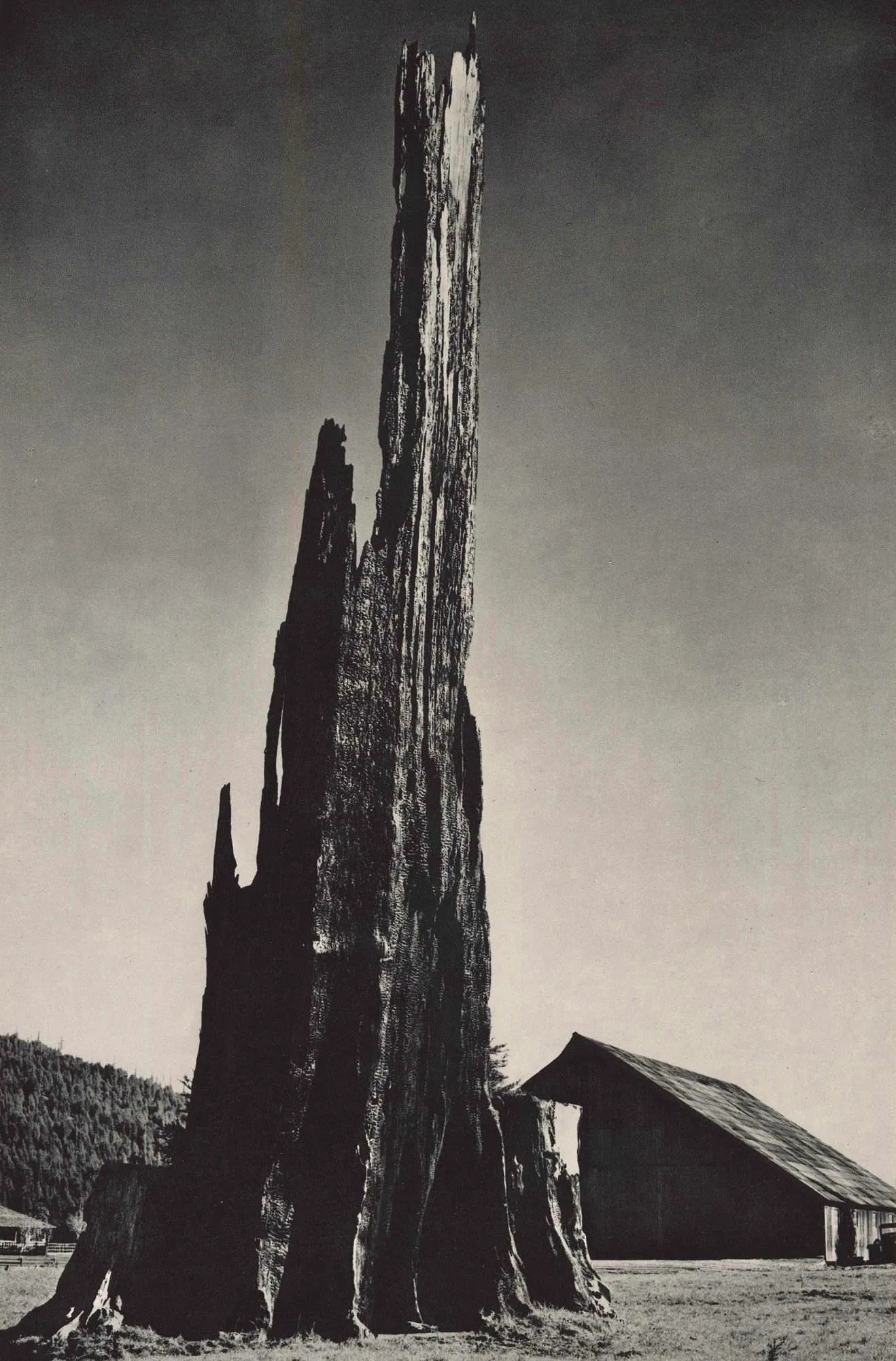 Ansel Adams (American, 1902-1984) Print (1 of 1)