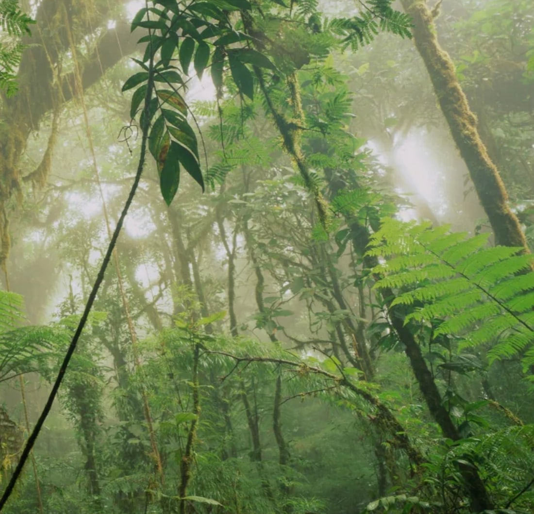 Stuart Franklin (British, b. 1956) Print - 2