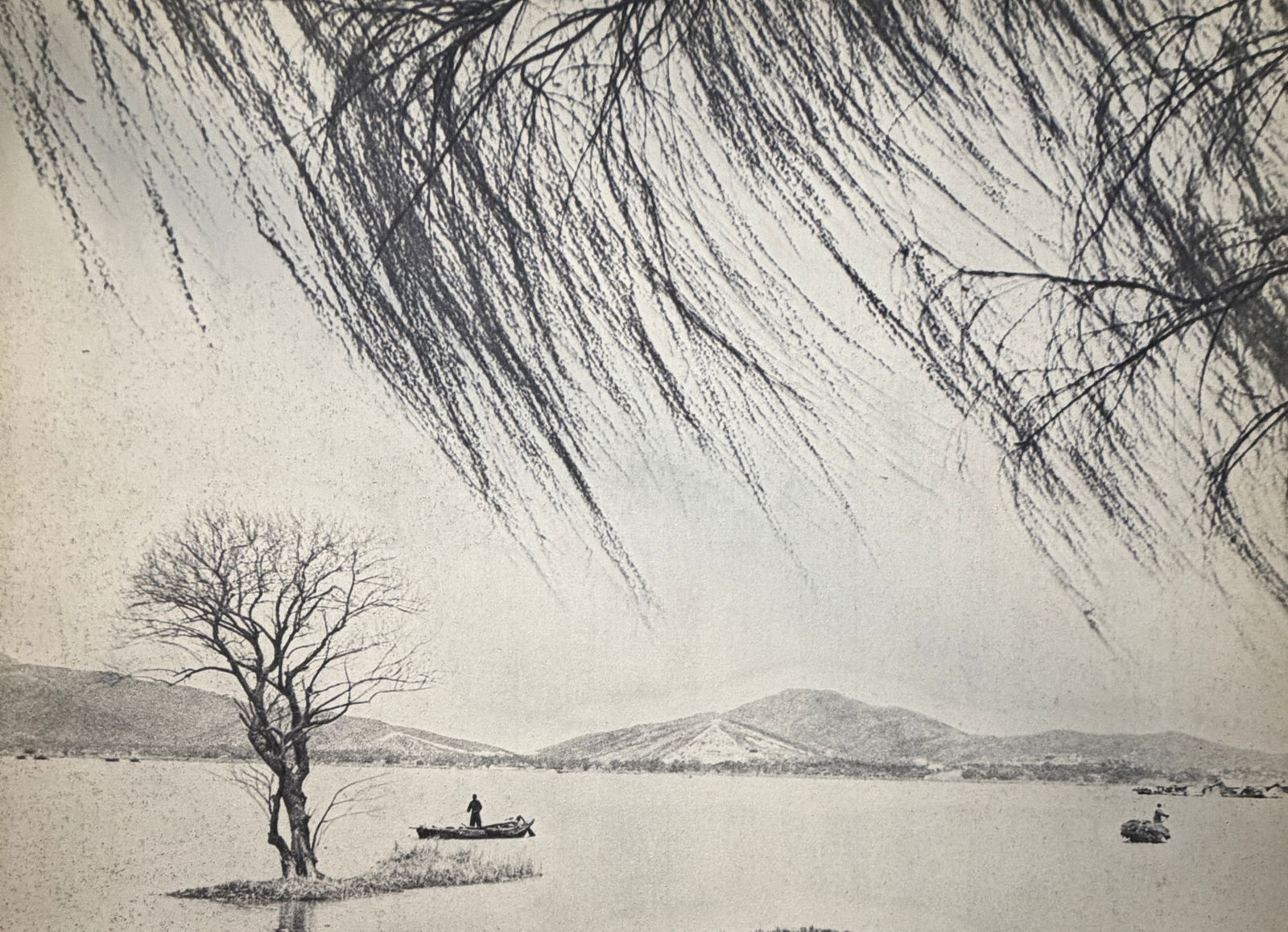 Liu Shu Chong (Chinese) Print (1 of 4)