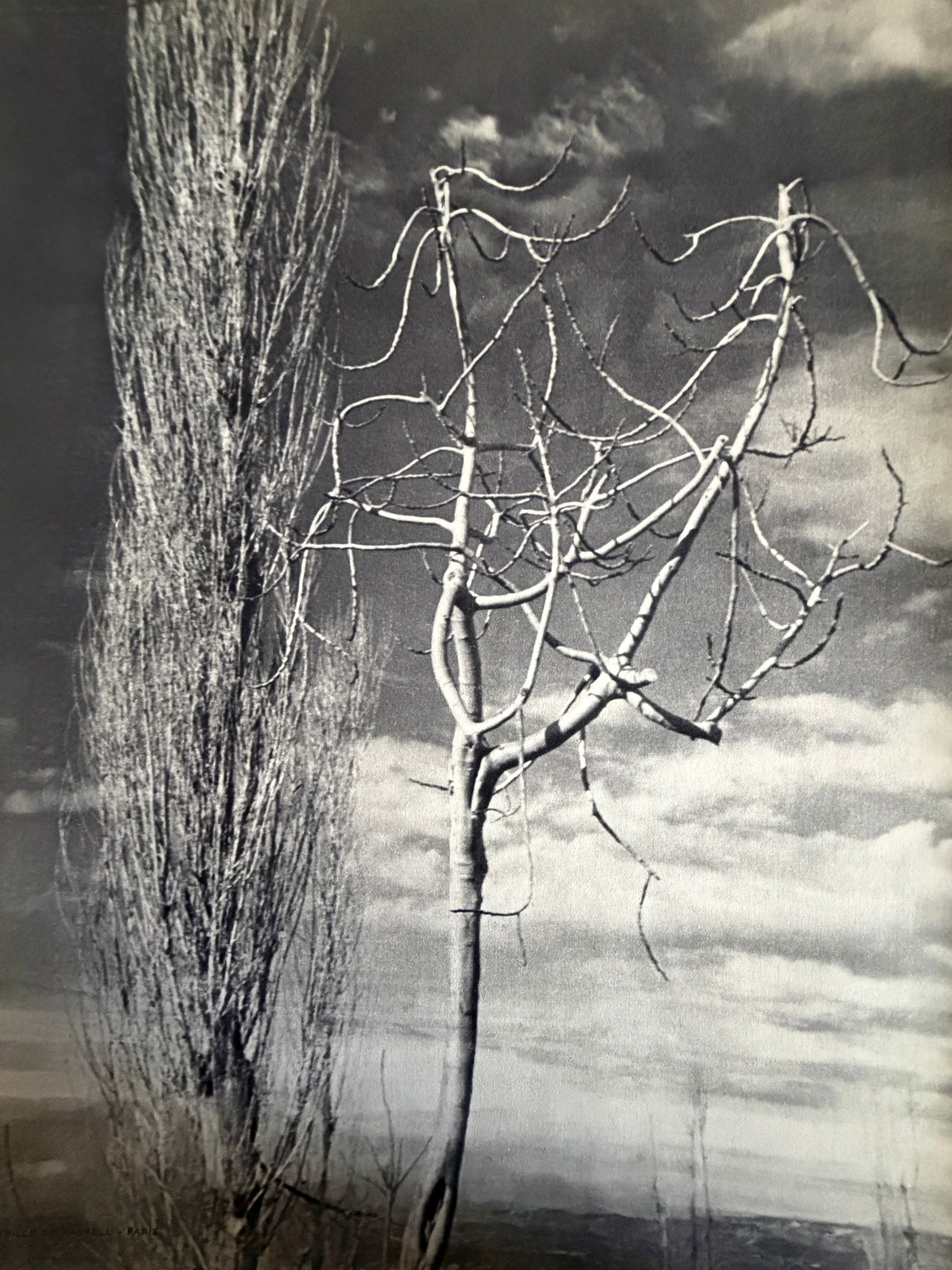 Sybille de Kaskell (German) Print: Sybille de Kaskell (German) Print. Toulon, Pagsage. Printed in 1939, France. 12.00 x 9.00 iches. Please be aware that all lots in our auctions are sold "AS IS," in accordance with the Terms & Conditio