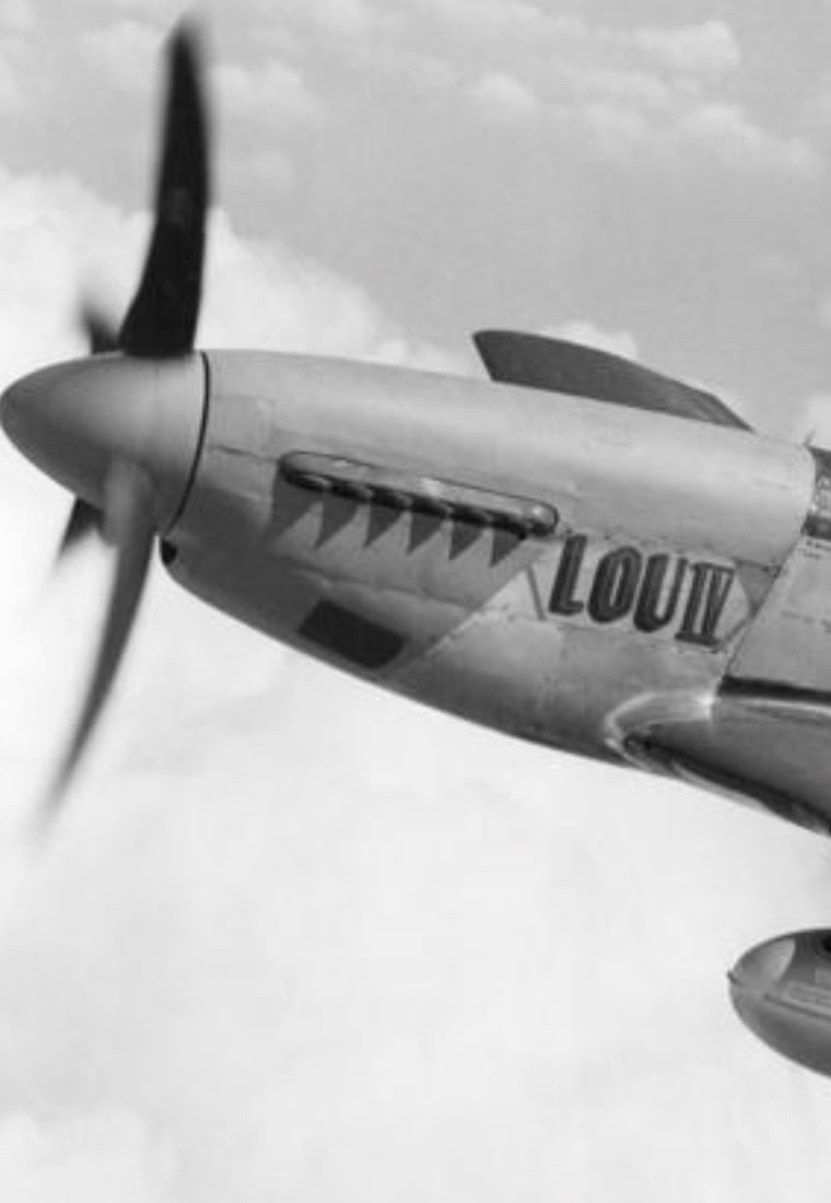 P-51 Mustang Print - 3