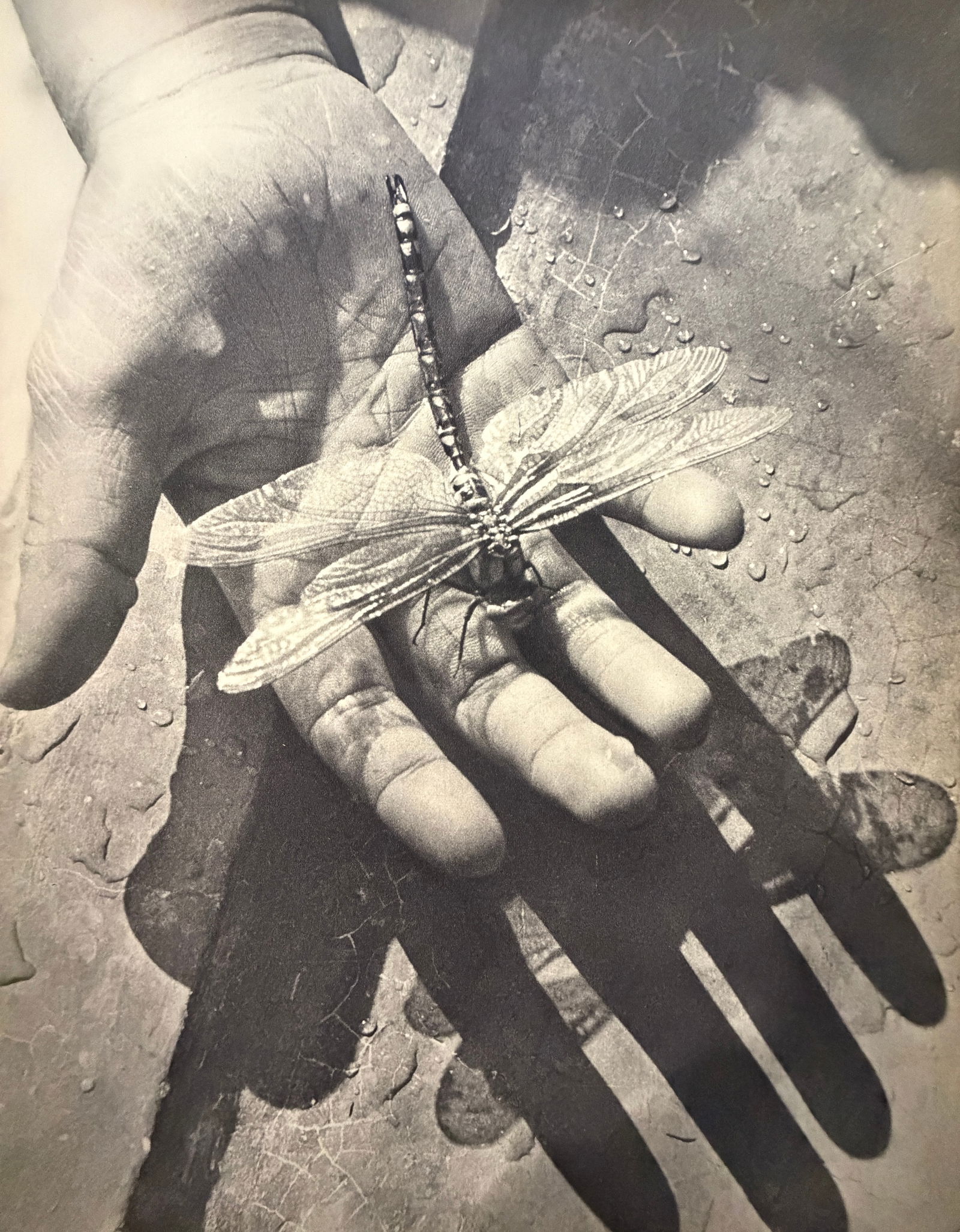 G. Karquel (French) Print: G. Karquel (French) Print. Mougins, Libelluie Noyee. Printed in 1939, France. 11.75 x 9.00 inches. Please be aware that all lots in our auctions are sold "AS IS," in accordance with the Terms & Condit