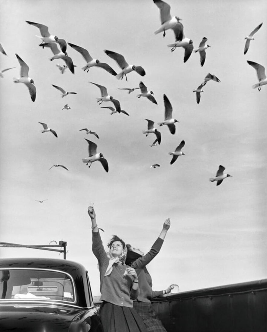 Hugh Morton (American, 1921-2006) Print: Hugh Morton (American, 1921-2006) Print. Woman Feeding Gulls while Crossing Oregon Inlet on a State Ferry, "1962". 28.50 x 35.50 inches. Please be aware that all lots in our auctions are sold "AS IS,"
