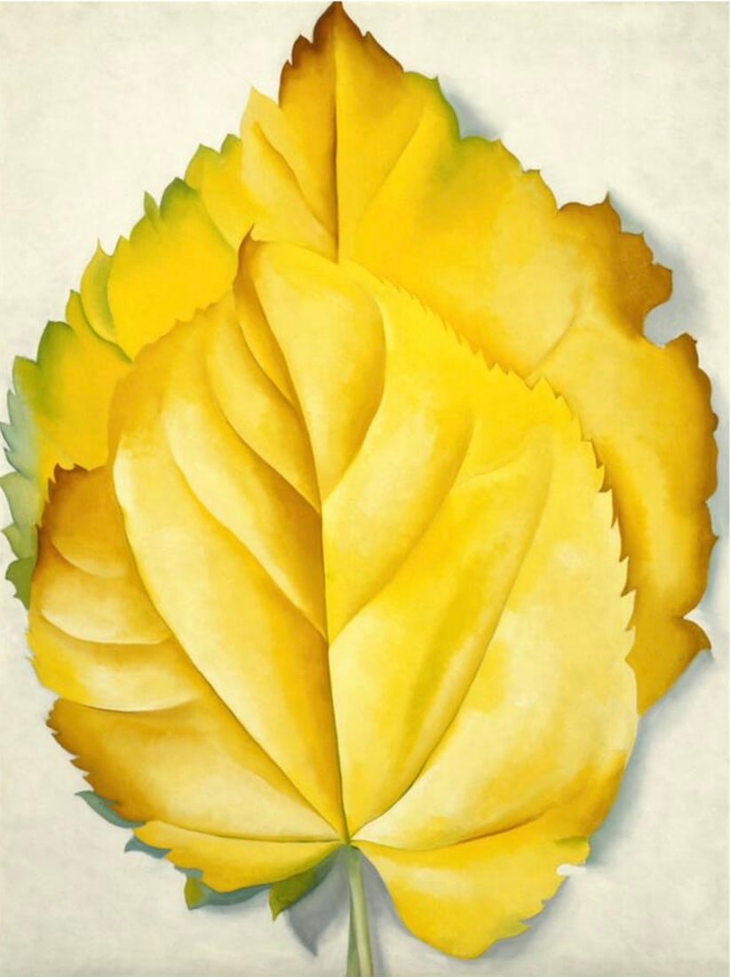 Georgia O'Keeffe (American, 1887-1986) Print: Georgia O'Keeffe (American, 1887-1986) Print. 2 Yellow Leaves, "1928". 27.50 x 37.00 inches. Please be aware that all lots in our auctions are sold "AS IS," in accordance with the Terms & Conditions o