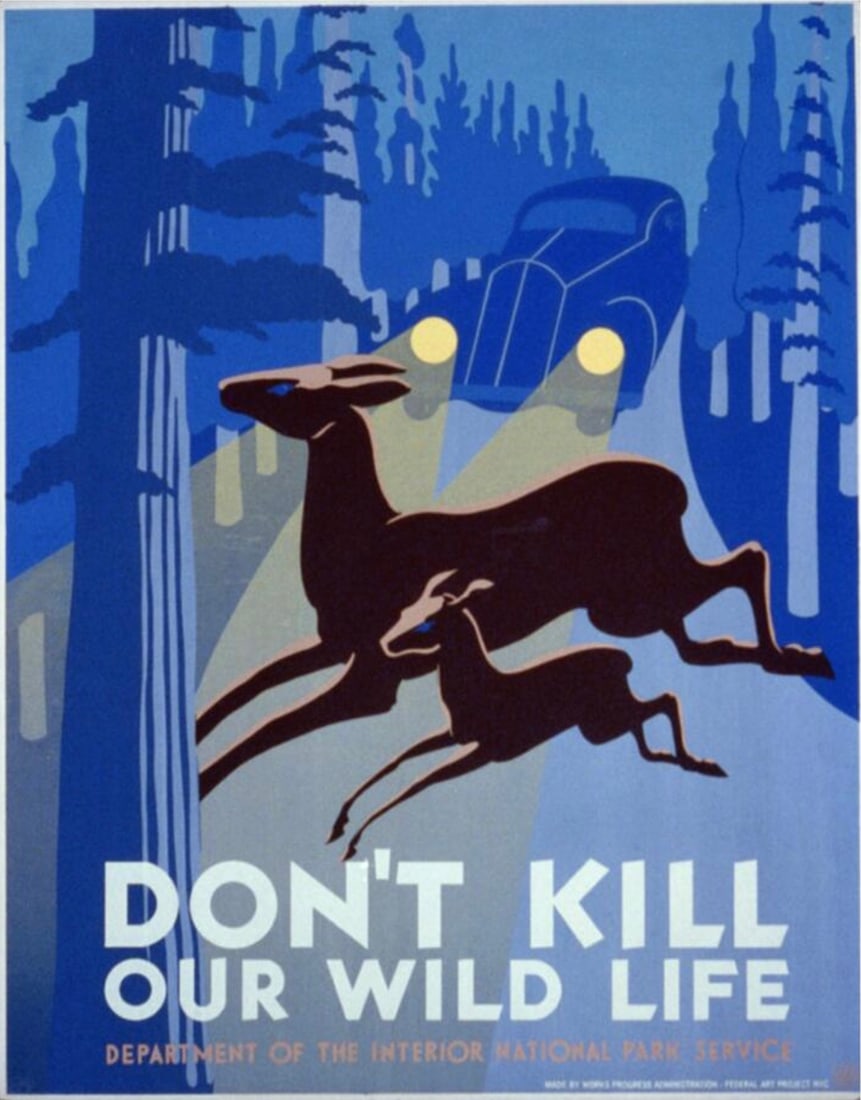 Don't Kill Our Wild Life Poster: Don't Kill Our Wild Life Poster. "1936". Bonded to fabric. 29.00 x 35.00 inches. Please be aware that all lots in our auctions are sold "AS IS," in accordance with the Terms & Conditions of the Auctio