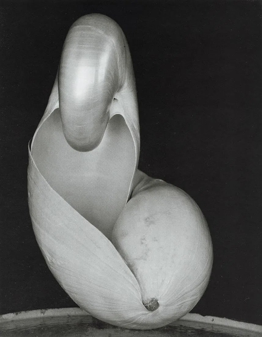 Edward Weston (American, 1886-1958) Print: Edward Weston (American, 1886-1958) Print. Two Shells, "1927". Printed in 1973, USA. 7.25 x 9.30 inches. Please be aware that all lots in our auctions are sold "AS IS," in accordance with the Terms &