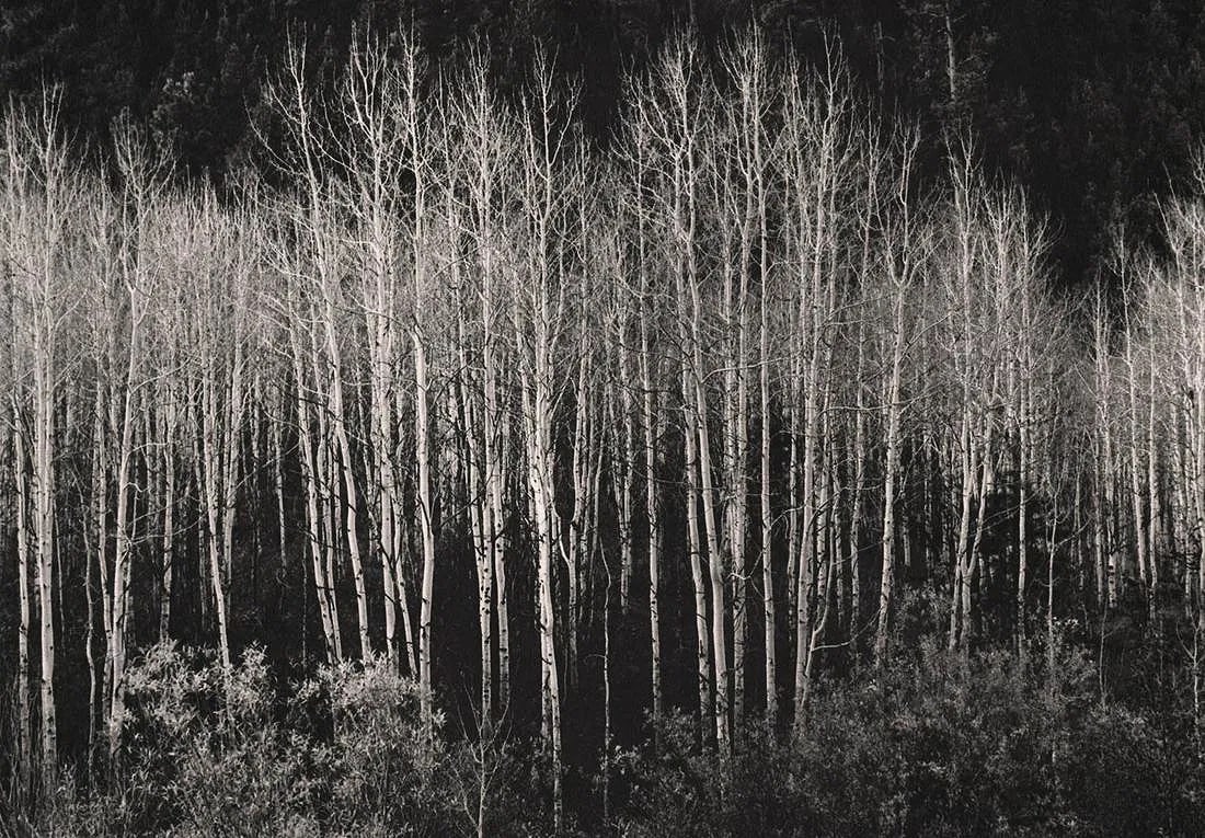 Ansel Adams (American, 1902-1984) Print (1 of 1)