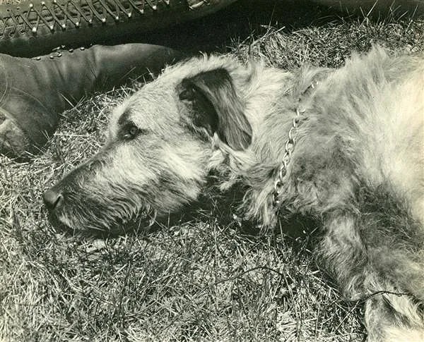 Edward Steichen (American, 1879-1973) Print (1 of 1)