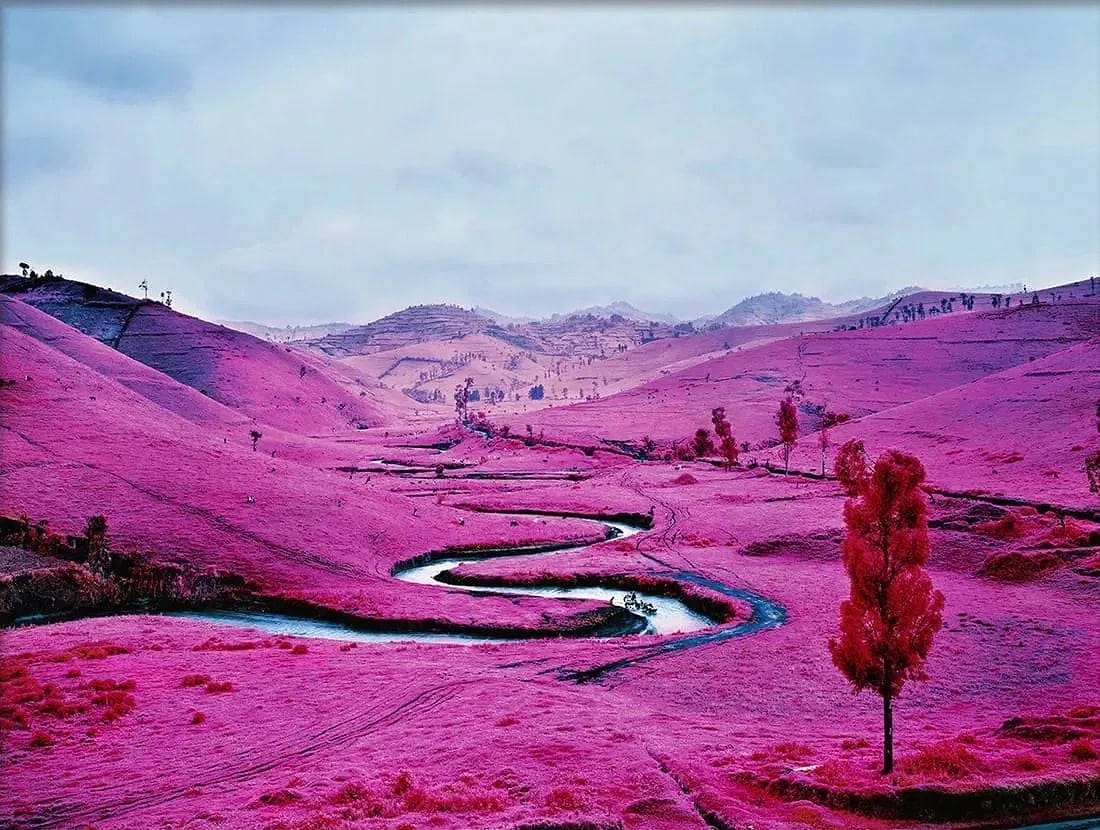 Richard Mosse (Irish, b. 1980) The Enclave, "2012" Photo Print: Richard Mosse (Irish, b. 1980) The Enclave, "2012" Photo Print. Please be aware that all lots in our auctions are sold "AS IS," in accordance with the Terms & Conditions of the Auction. All "dates" in