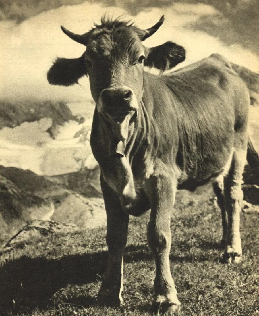 Brassai (France, 1899 - 1984) Print: Brassai (France, 1899 - 1984) Print. Surprise. Printed in 1940. 6.75 x 8.25 inches. Please be aware that all lots in our auctions are sold "AS IS," in accordance with the Terms & Conditions of the