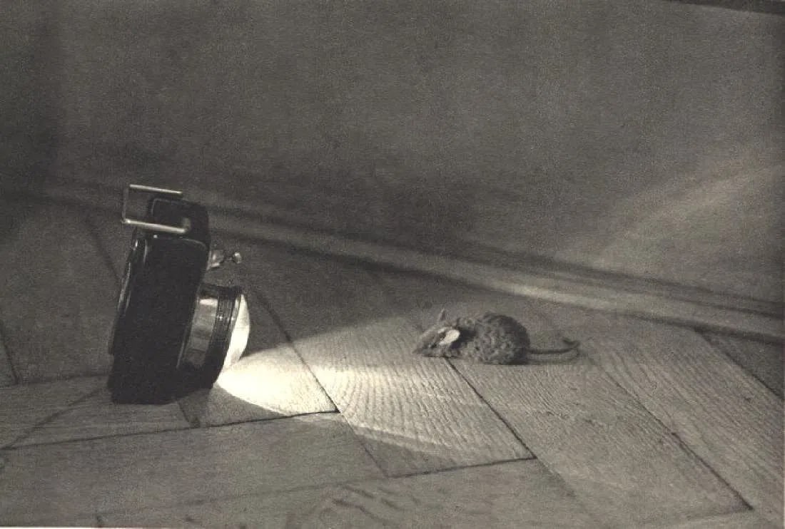 Dr. Milos Kossler Print: Dr. Milos Kossler Print. MILOS Mouse. Printed in 1931. 6.75 x 4.75 inches. Please be aware that all lots in our auctions are sold "AS IS," in accordance with the Terms & Conditions of the Auction.