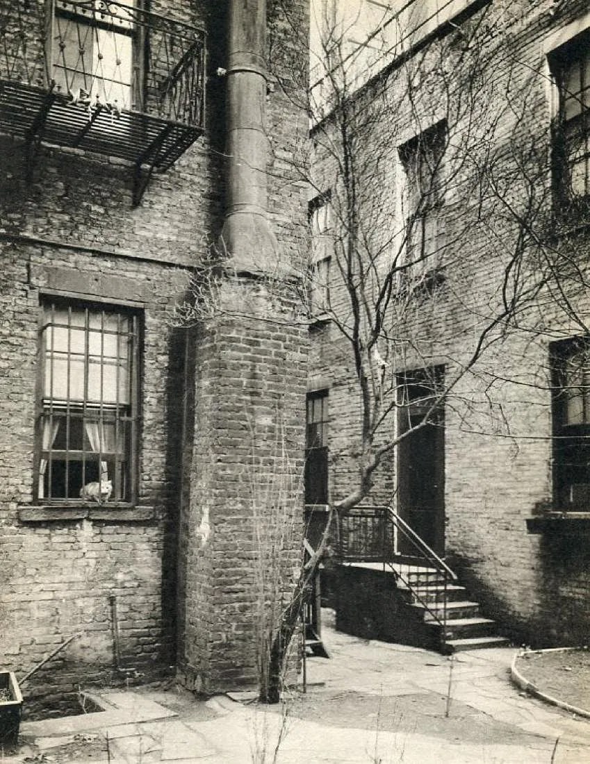 Berenice Abbott (American, 1989-1991) Print (1 of 1)