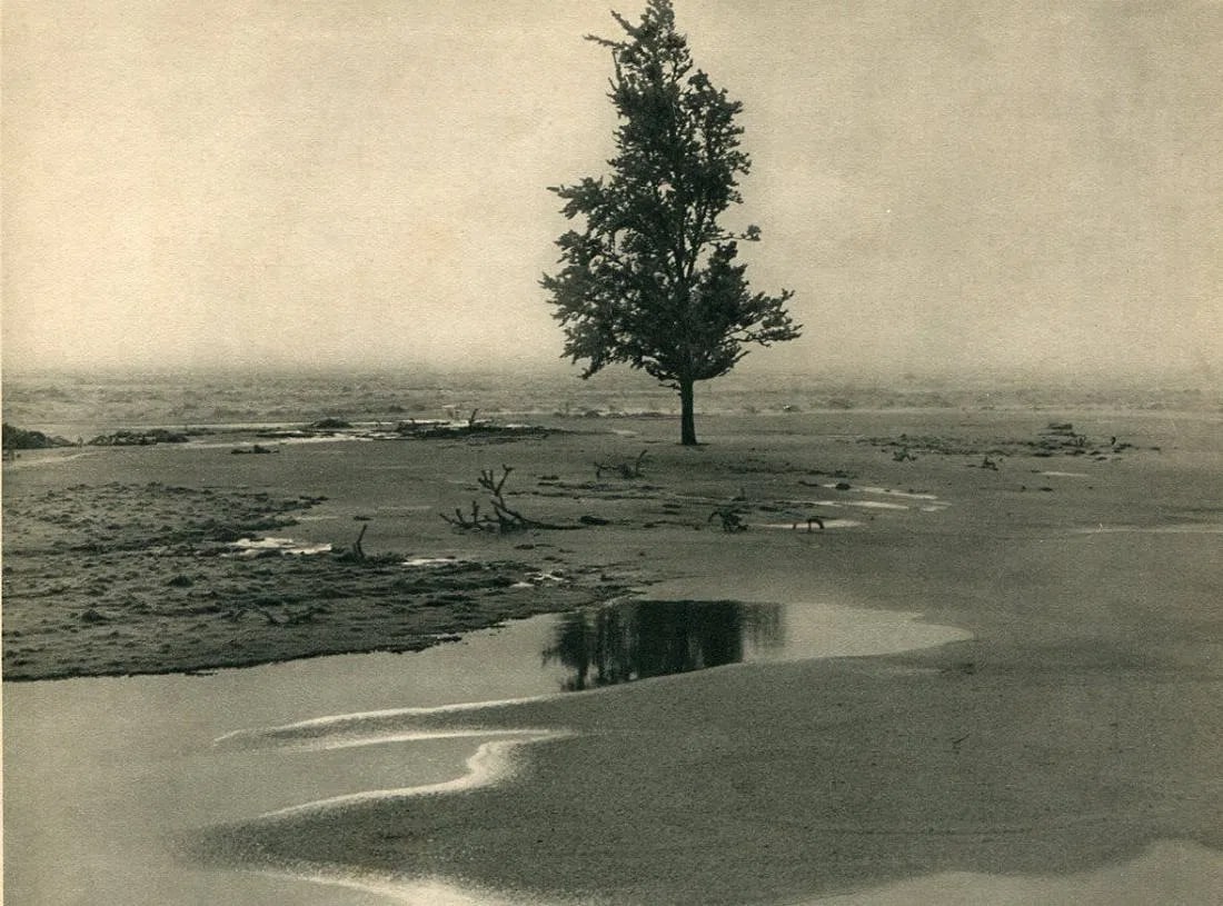 Albert Renger-Patzsch (German, 1897–1966) Print: Albert Renger-Patzsch (German, 1897–1966) Print. Bad-Harzburg. Printed in 1930. 8.00 x 6.00 inches. Please be aware that all lots in our auctions are sold "AS IS," in accordance with the Terms & Con