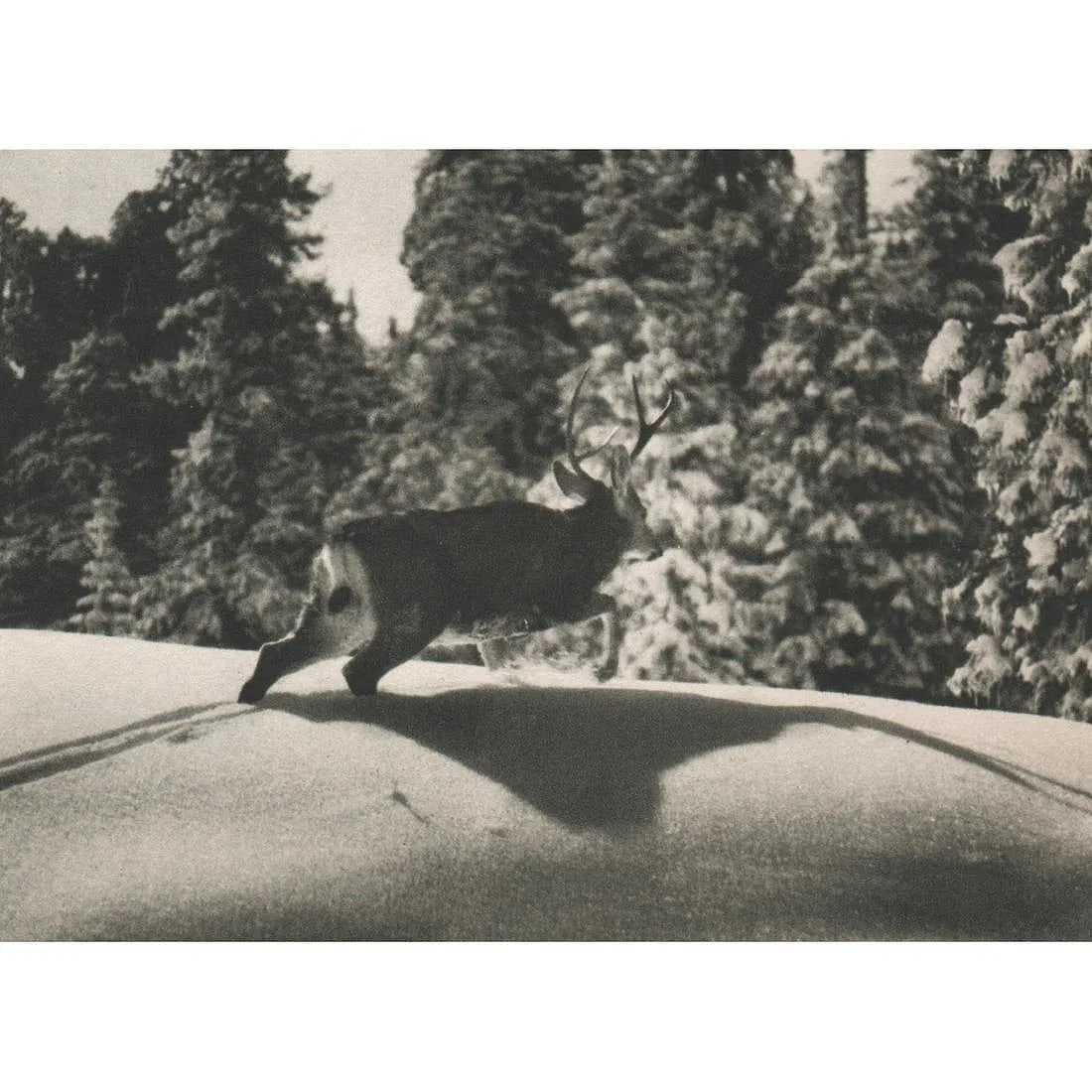 Josef Muench (Bavaria, 1904 -1998) Print: Josef Muench (Bavaria, 1904 -1998) Print. Escape. Printed in 1940's. 3.50 x 5.00 inches. Please be aware that all lots in our auctions are sold "AS IS," in accordance with the Terms & Conditions of th