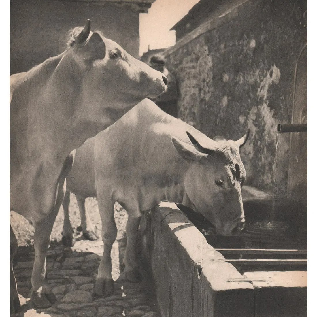 Edouard Mouriquand (France, 1912-1951) Print: Edouard Mouriquand (France, 1912-1951) Print. Beaufort-sur-Gervanne, France. Printed in 1940's. 9.50 x 9.00 inches. Please be aware that all lots in our auctions are sold "AS IS," in accordance with t