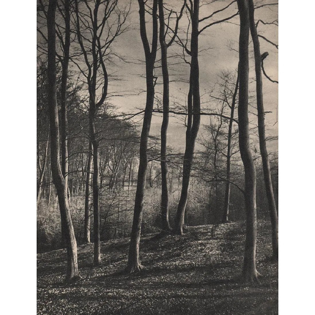 Mrs. K. M. Parsons Print (1 of 1)