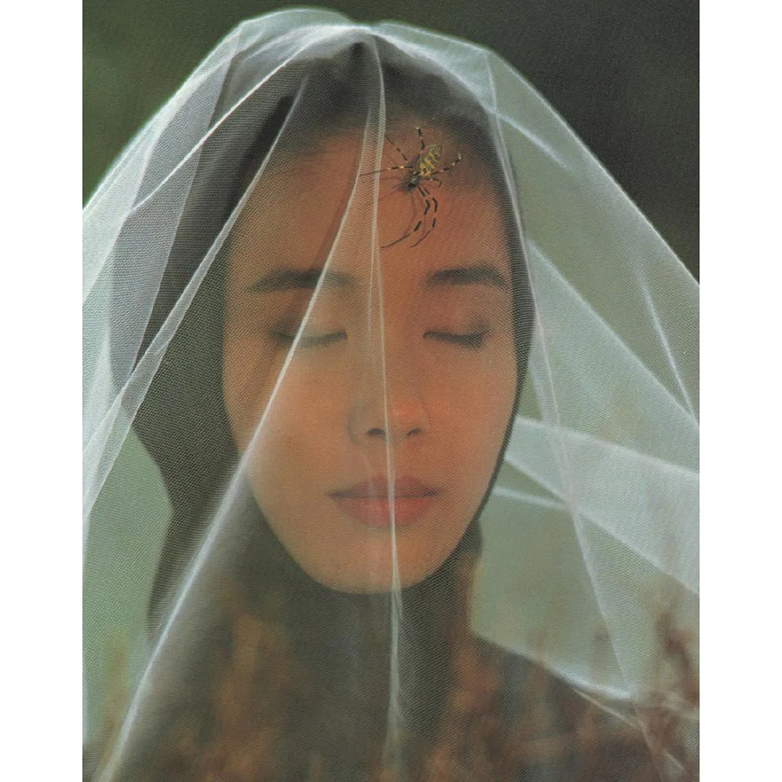 Philip Porcella Print: Philip Porcella Print. Maki and a Spider. Printed in 1980's. 7.00 x 8.75 inches. Please be aware that all lots in our auctions are sold "AS IS," in accordance with the Terms & Conditions of the