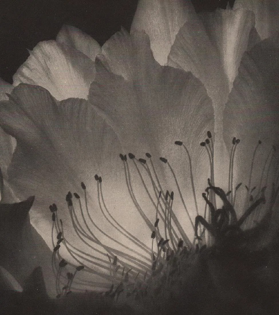 R.T.J. Blick Print: R. T. J. Blick Print. T. J. Ballet. Printed in 1948. 7.00 x 6.00 inches” inches. Please be aware that all lots in our auctions are sold "AS IS," in accordance with the Terms & Conditions of the