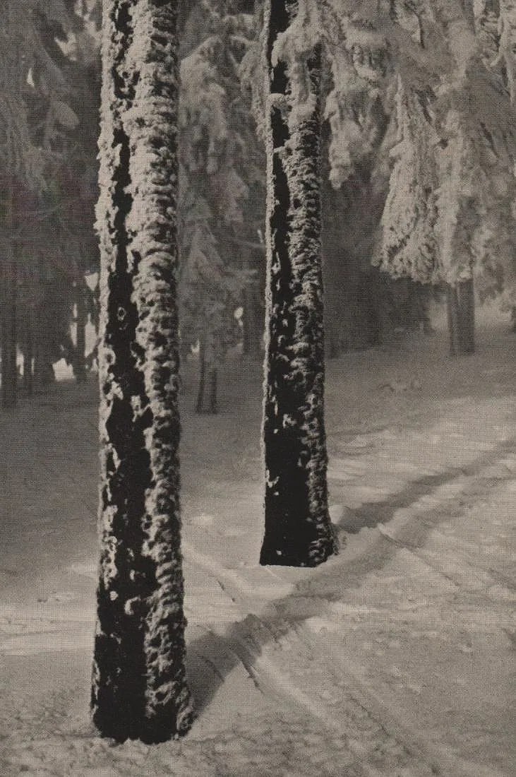 Th. Perabo Print: Th. Perabo Print. Wintersonne. Printed in 1929. 8.50 x 6.00 inches” inches. Please be aware that all lots in our auctions are sold "AS IS," in accordance with the Terms & Conditions of the