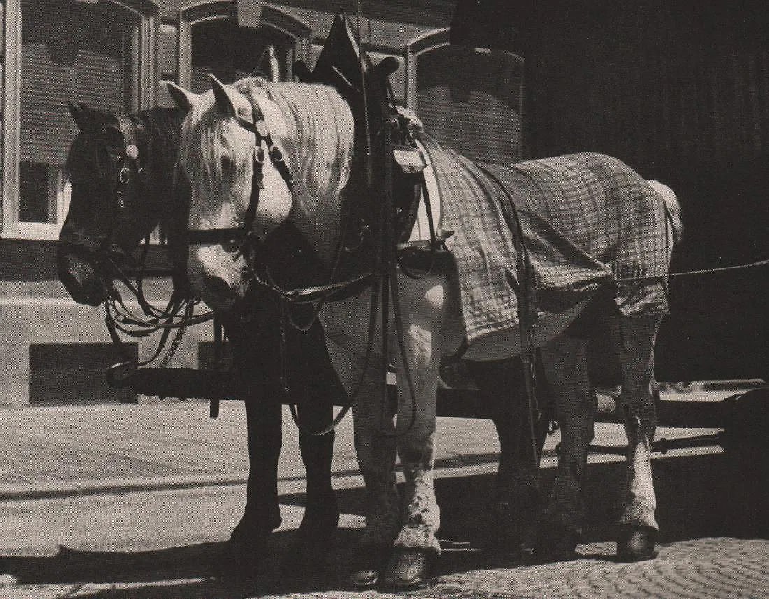 Anneliese Ziemer Print: Anneliese Ziemer Print. Mobelwagengespann. Printed in 1936. 5” x 6” inches. Please be aware that all lots in our auctions are sold "AS IS," in accordance with the Terms & Conditions of