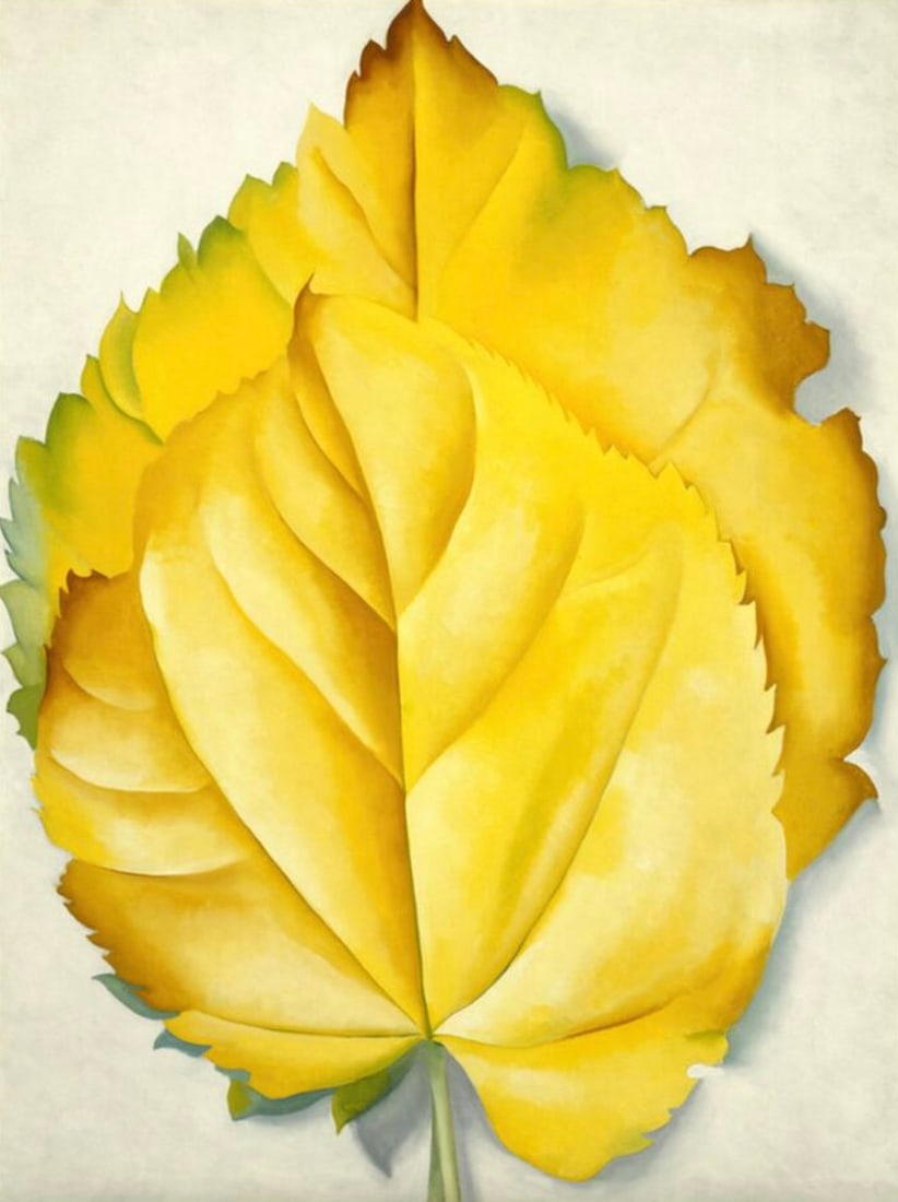 Georgia O'Keeffe (American, 1887-1986) Print: Georgia O'Keeffe (American, 1887-1986) Print. 2 Yellow Leaves, "1928". 27.00 x 36.75 inches. Please be aware that all lots in our auctions are sold "AS IS," in accordance with the Terms & Conditions