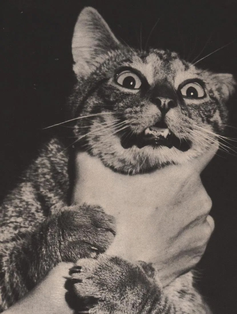 Russell J. Burt Print: Russell J. Burt Print. Cat. Printed in 1937. 10.5” x 8” inches. Please be aware that all lots in our auctions are sold "AS IS," in accordance with the Terms & Conditions of the Auction.